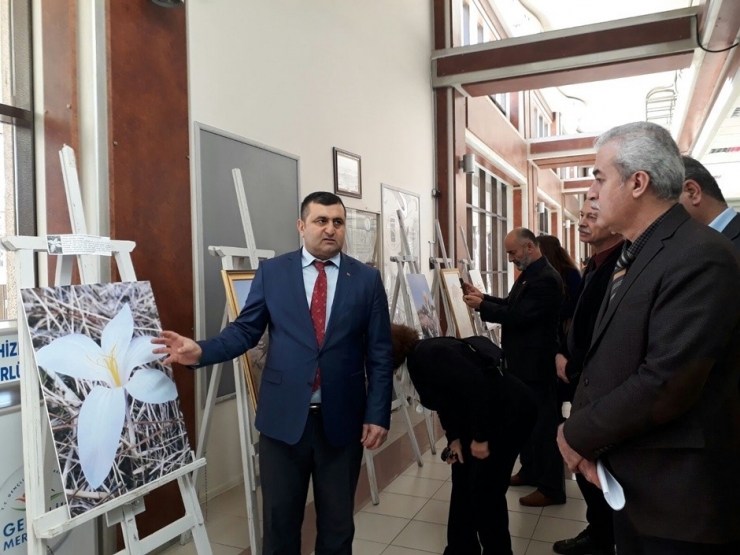 Harran Üniversitesinde Endemik Bitkileri Fotoğraf Sergisi Açıldı