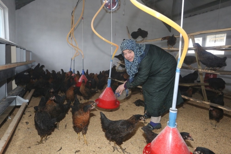 İlknur Teyze Hayalini Kurduğu İşine Kavuştu