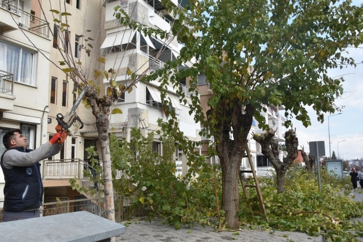 Salihli’de Parklara Kışlık Bakım