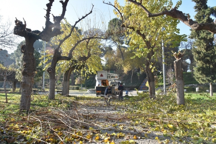 Salihli’de Parklara Kışlık Bakım