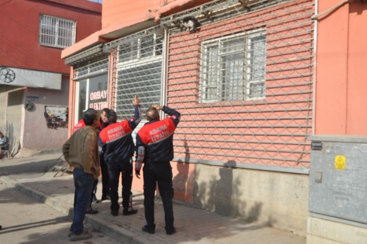 Darabaya Sıkışan Kediyi Cankur Kurtardı
