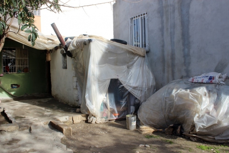 Yaşlı Kadın 2 Metrekarelik Odunlukta Yaşam Savaşı Veriyor