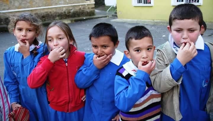 Giresun’da ‘Kuşdili Kültürü’ Konulu Panel Yapılacak