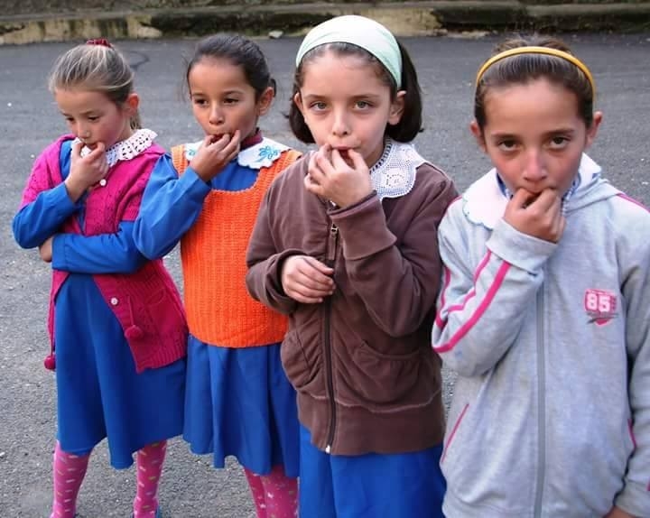 Giresun’da ‘Kuşdili Kültürü’ Konulu Panel Yapılacak