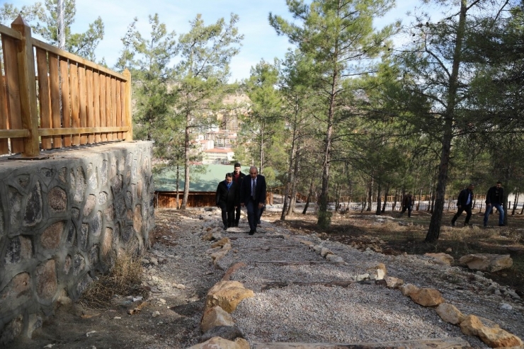 Kent Ormanı Hizmete Açılıyor