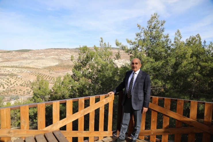 Kent Ormanı Hizmete Açılıyor