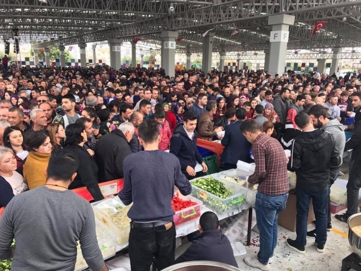 Kıbrıs’ta Hamsi Festivali Düzenlendi