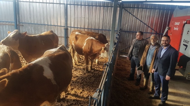 Projenin Son Etap Düveleri Dağıtıldı