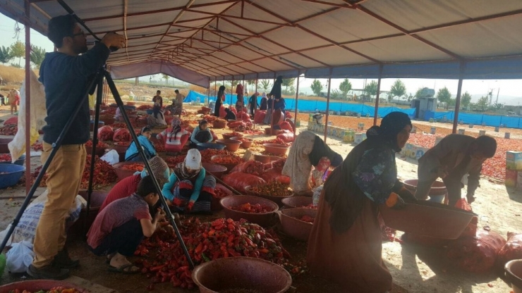 “Şakha” Adlı Filmle Yarışmada Finalist Oldular