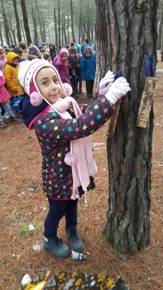 Kuşlar İçin Ağaç Dallarına Yem Astılar