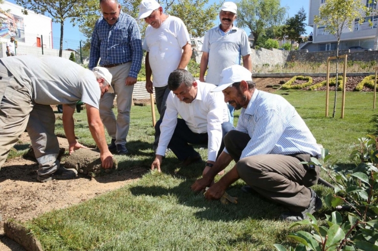 Darıca 2017 Yılında Yeşile Boyandı