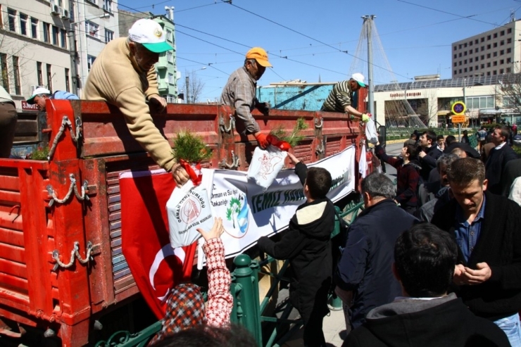 Orman Bölge Müdürlüğü’nden Anlamlı Fidan Dağıtımı