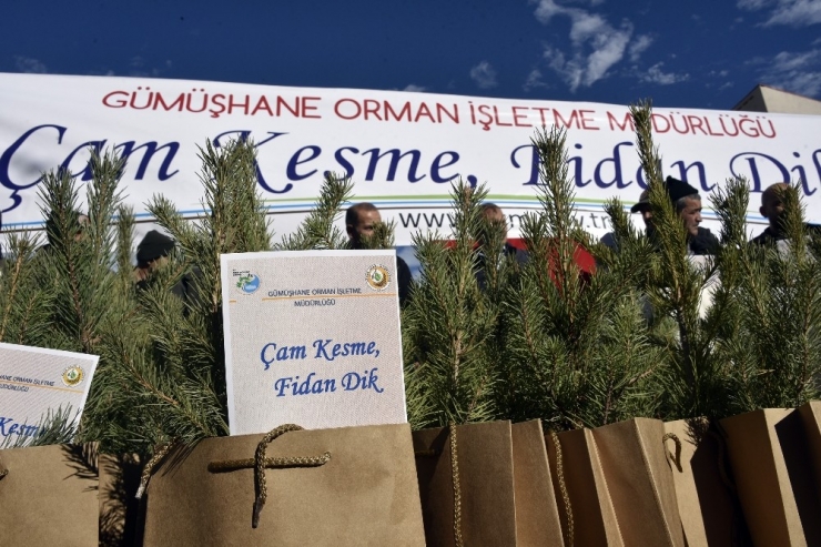 Gümüşhane’de ‘Çam Kesme, Fidan Dik’ Sloganıyla Vatandaşlara Çam Fidanı Dağıtıldı
