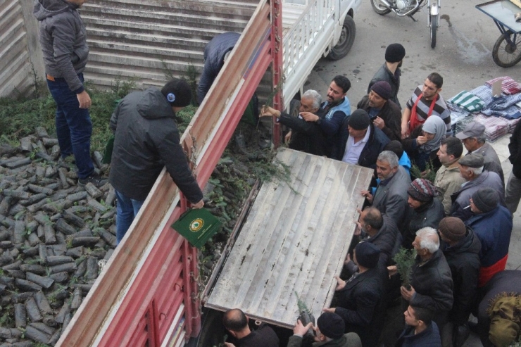 Kilis’te ’Yıl Başında Ağaç Kesme Fidan Dik’ Kampanyası