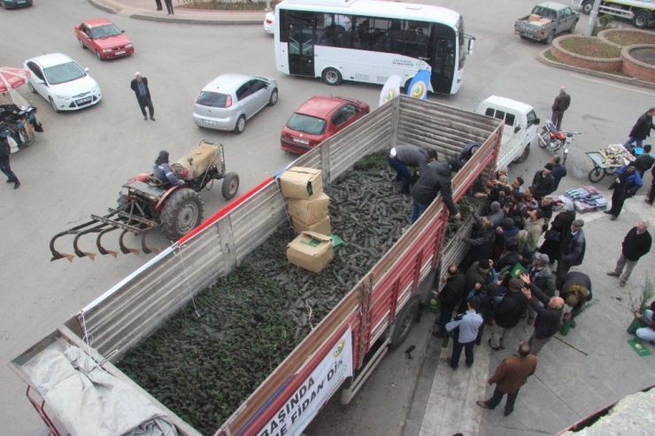 Kilis’te ’Yıl Başında Ağaç Kesme Fidan Dik’ Kampanyası