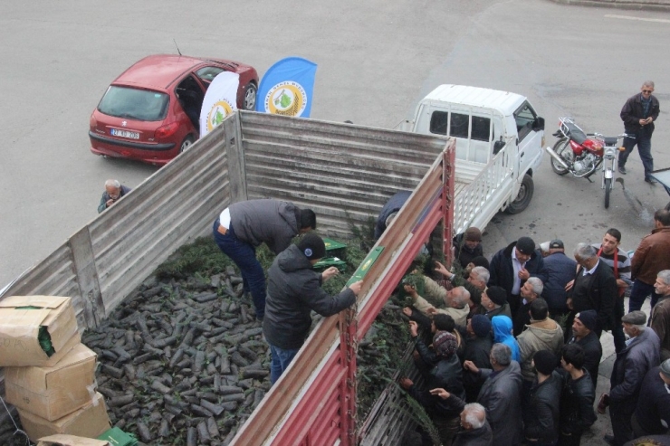 Kilis’te ’Yıl Başında Ağaç Kesme Fidan Dik’ Kampanyası