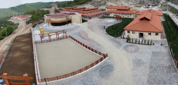 Büyükşehir’den 2017 Yılında, 5 Bin 500 Hayvana Şefkat Eli