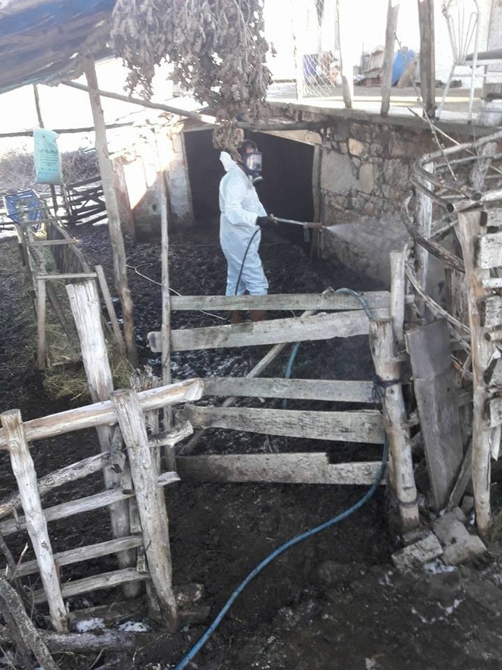 Manisa’da Küçük Baş Hayvan Barınaklarına İlaçlama