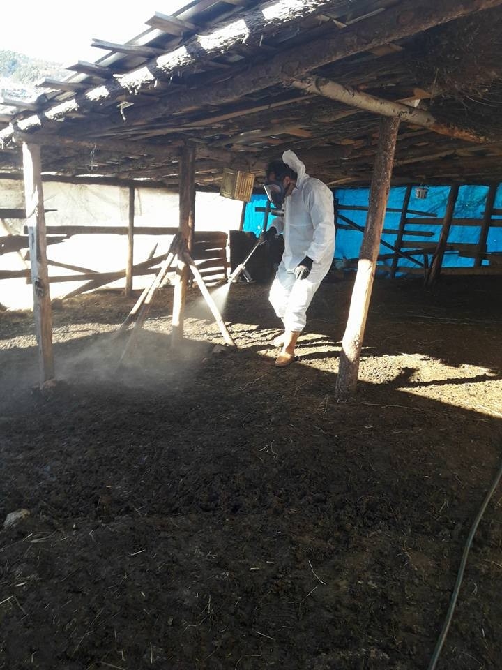 Manisa’da Küçük Baş Hayvan Barınaklarına İlaçlama