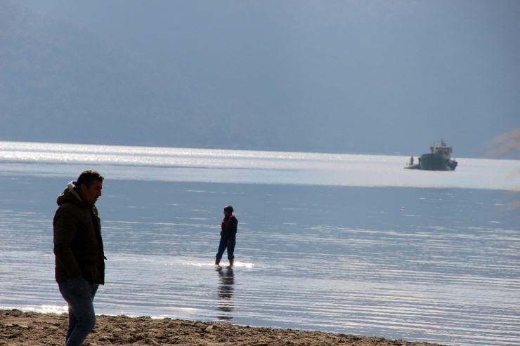 Gökova Körfezinde Gel-git Olayları Devam Ediyor