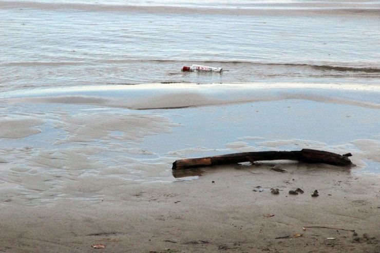 Gökova Körfezinde Gel-git Olayları Devam Ediyor