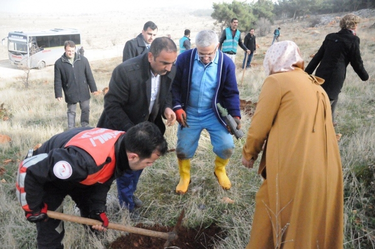 Önce Cezaevlerini Denetliyor Sonra Da Ağaç Dikiyor
