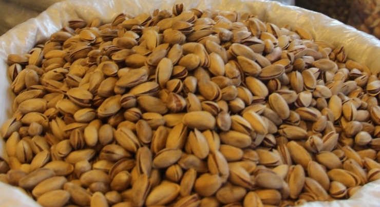 Fıstıkta Fiyatları Kalite Yerine Mahsulün Miktarı Belirliyor