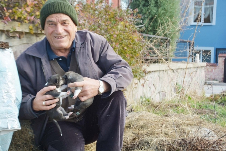 O Hayvanları, Hayvanlar Onu Seviyor