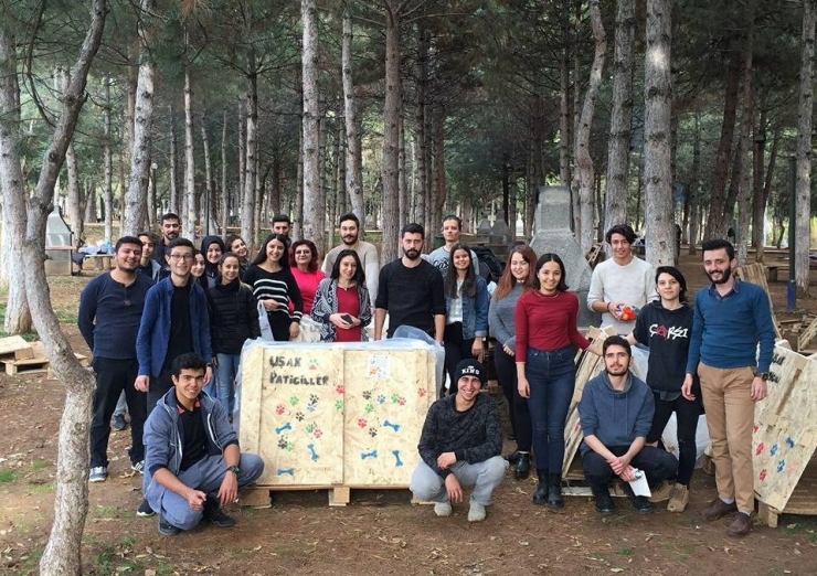 Sıcak Kalpli Gençler Uşak’ın Soğuğunda Sokak Hayvanları Unutmadı