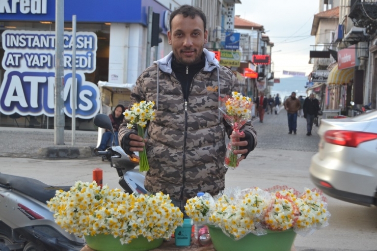 Ayvalık’ta Nergis Kokusu Yürekleri Isıtıyor