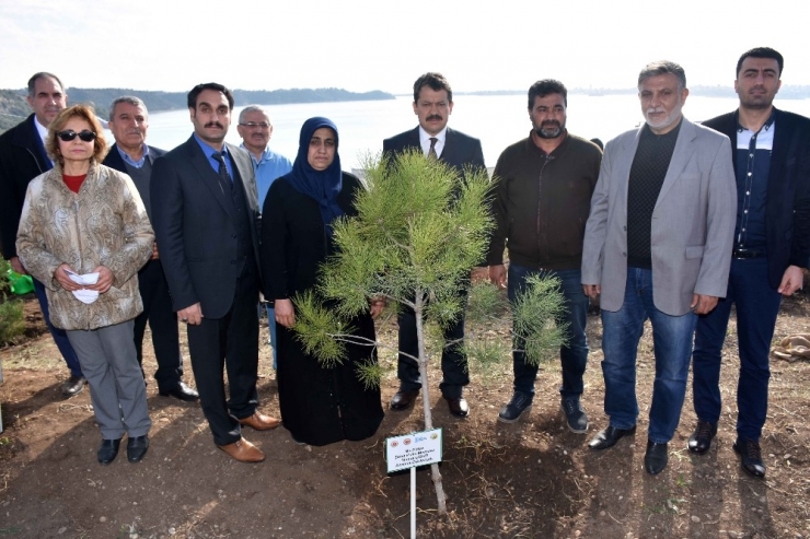 15 Temmuz Şehitleri Adına Hatıra Ormanı