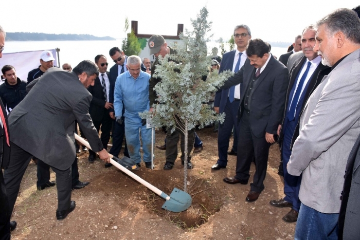 15 Temmuz Şehitleri Adına Hatıra Ormanı