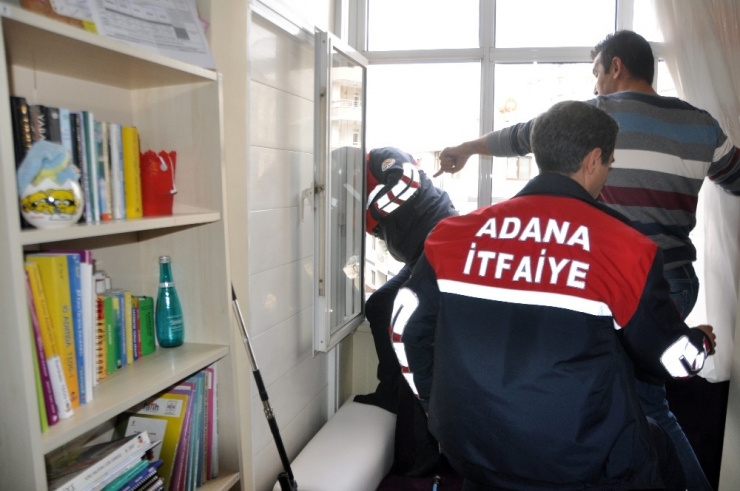 Güvercini Özgürlüğüne Kavuşturdular