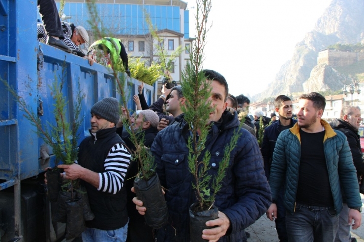 Sanki Ağaç Bayramı