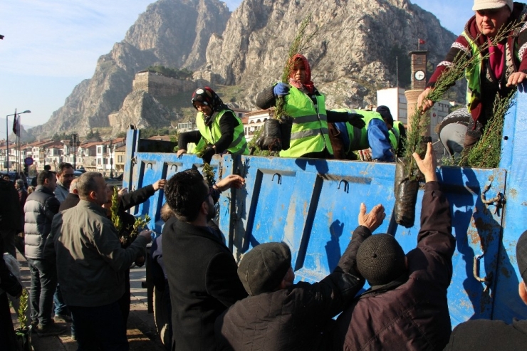 Sanki Ağaç Bayramı