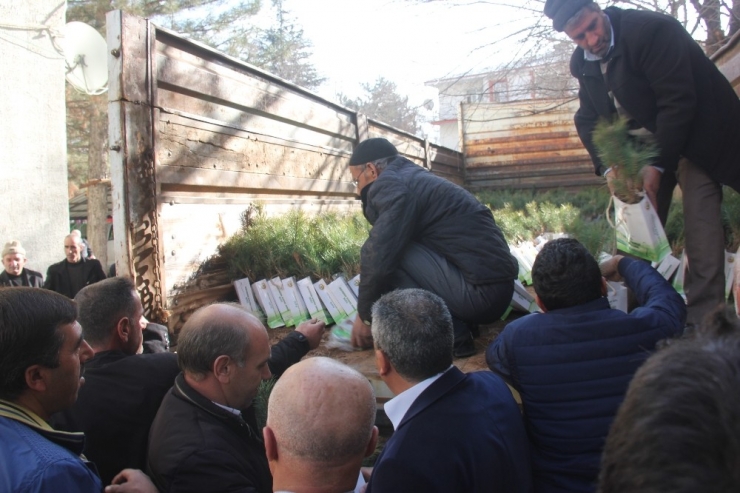 Bingöl’de ‘Ağaç Kesme, Fidan Dik’ Kampanyası