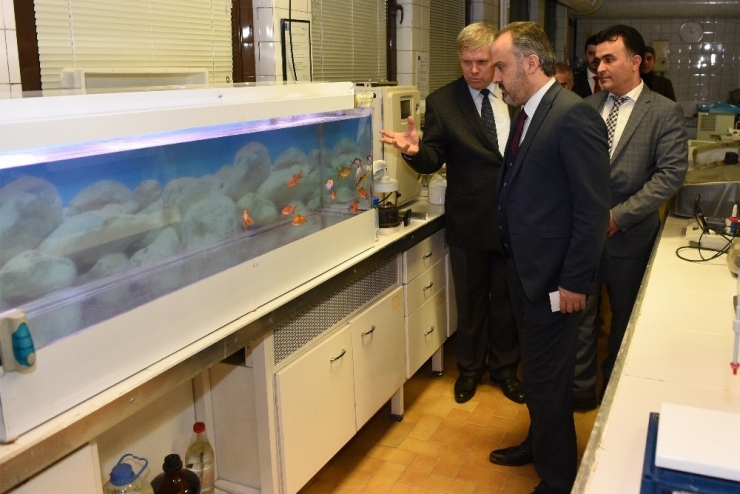 Bursalılar Artık Kuyu Suyu Yerine Baraj Suyu İçiyor