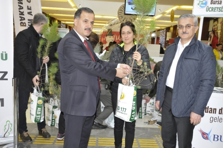 Yılbaşında Ağaç Kesmeyip Fidan Dikecekler