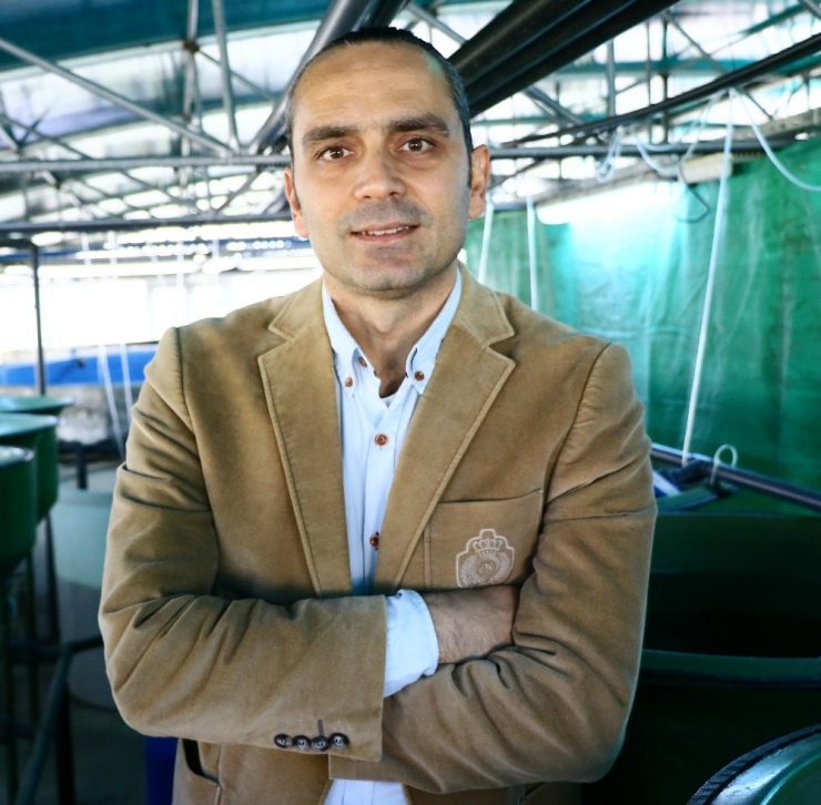 Deniz Levreklerinin Yemine Makro Ve Mikroalg Dopingi