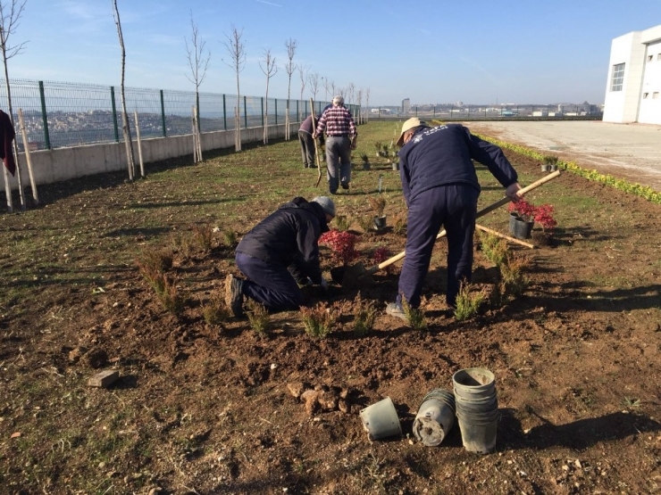 Dilovası Belediyesi’nden Peyzaj Düzenlemesi