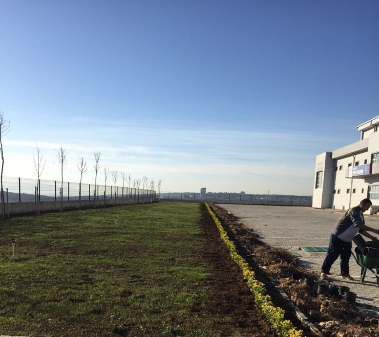 Dilovası Belediyesi’nden Peyzaj Düzenlemesi