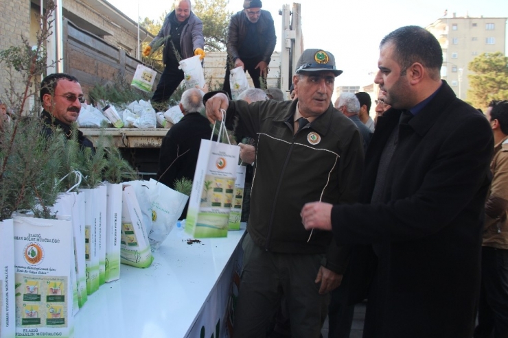 Elazığ’da ’Ağaç Kesme Fidan Dik’ Kampanyası