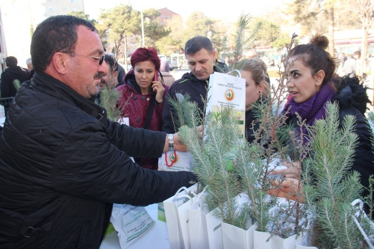 Elazığ’da ’Ağaç Kesme Fidan Dik’ Kampanyası