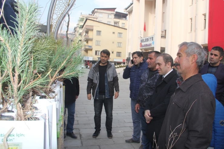 Hakkari’de 12 Bin Adet Fidan Dağıtıldı