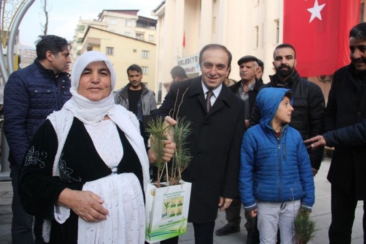 Hakkari’de 12 Bin Adet Fidan Dağıtıldı