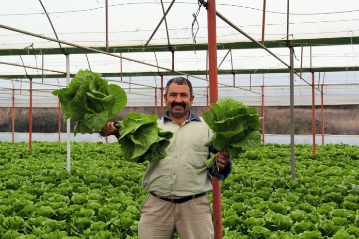 Türkiye’nin Kış Sebzeleri Isparta Sütçüler’den