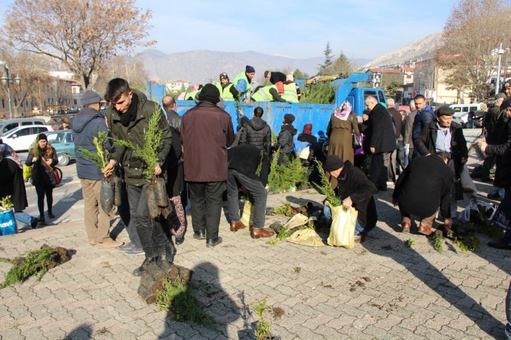 Sanki Ağaç Bayramı