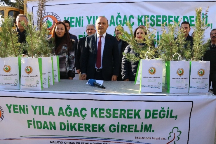 Yeni Yıl Öncesi Ücretsiz Çam Fidanı Dağıtıldı
