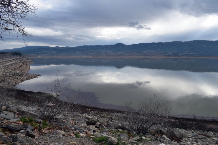 Avşar Barajı’nda Düşen Su Seviyesi Üreticiyi Endişelendiriyor