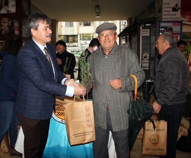 Muğla Ve Aydın’da 20 Bin Fidan Dağıtıldı